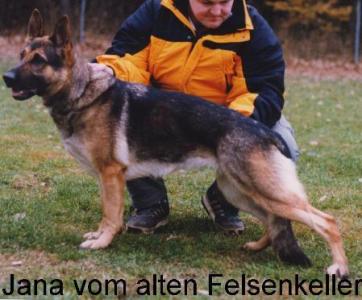Jana vom alten Felsenkeller