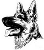 Nory Echalon