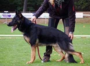 Xoltan von Peroh